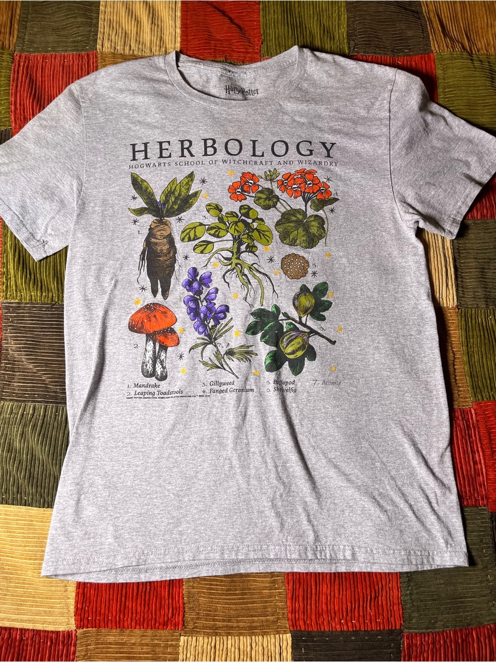 Hogwarts Herbolology Graphic T-Shirt - Light Gray—size M